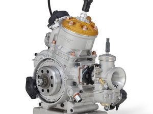 MOTORE ROK GP