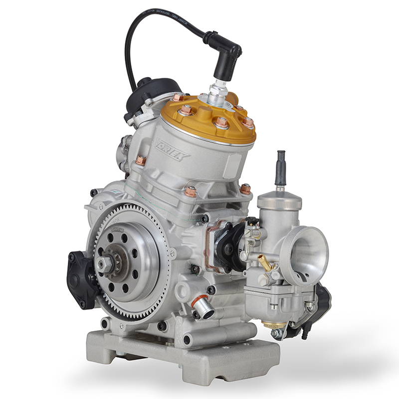 MOTORE ROK GP