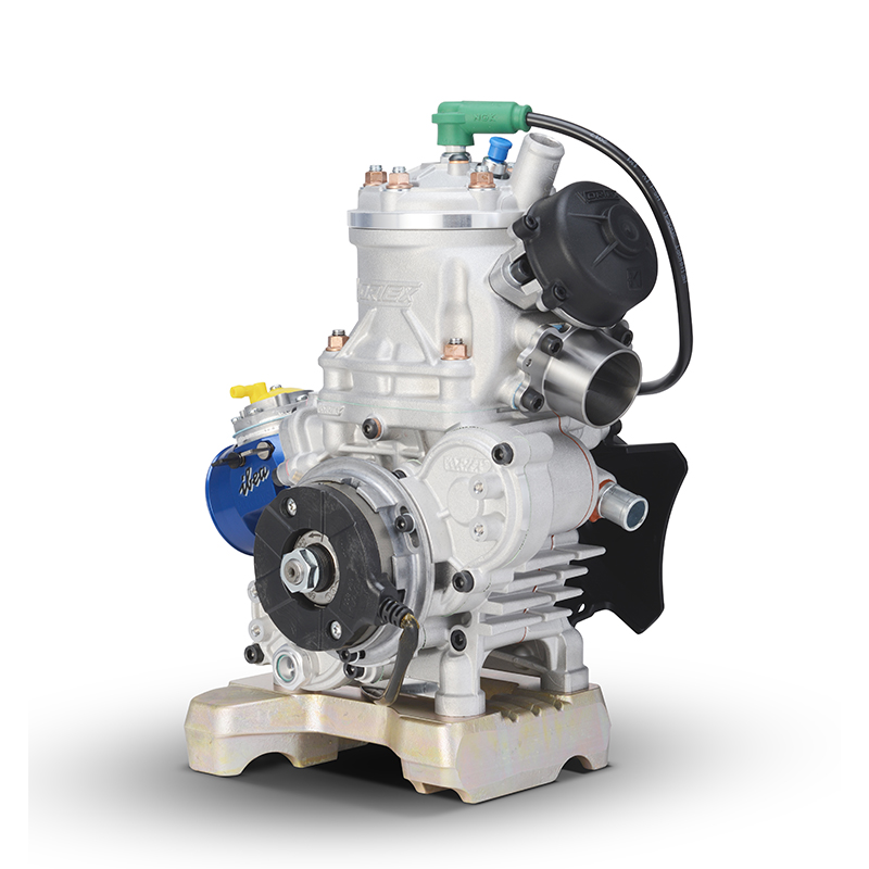 MOTORE ROK DVS - immagine 10