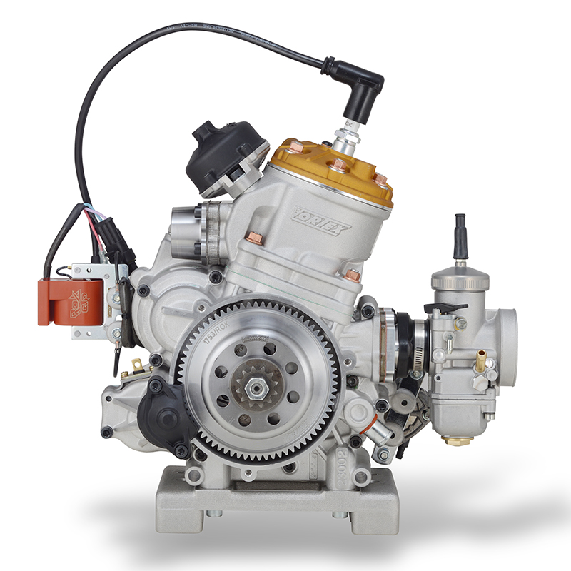 MOTORE ROK GP - immagine 2
