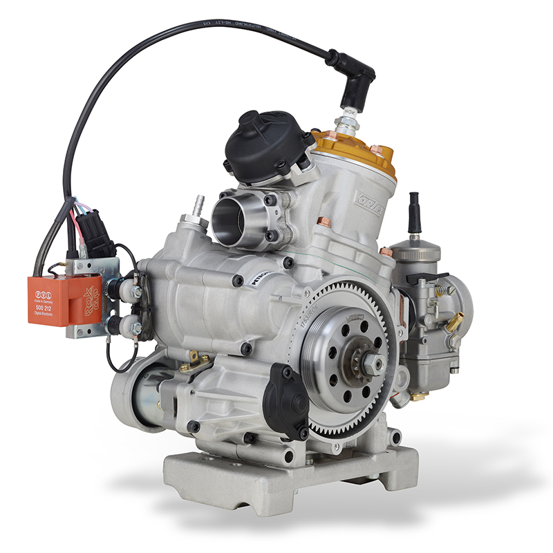 MOTORE ROK DVS - immagine 8