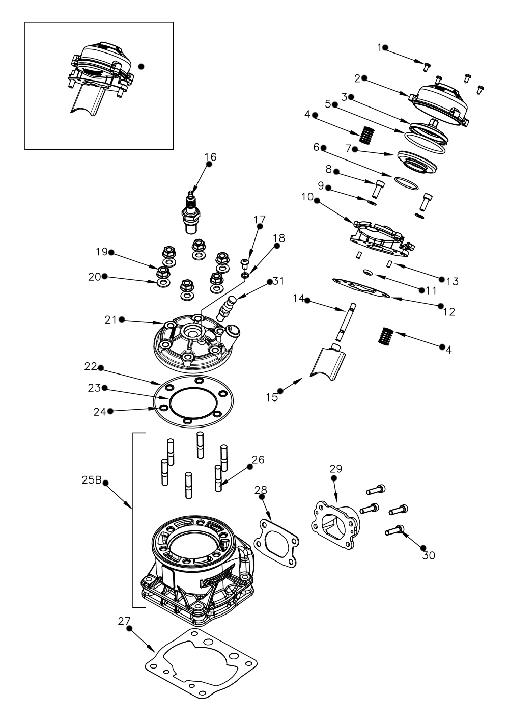 Ricambi Vortex 01 ROK DVS
