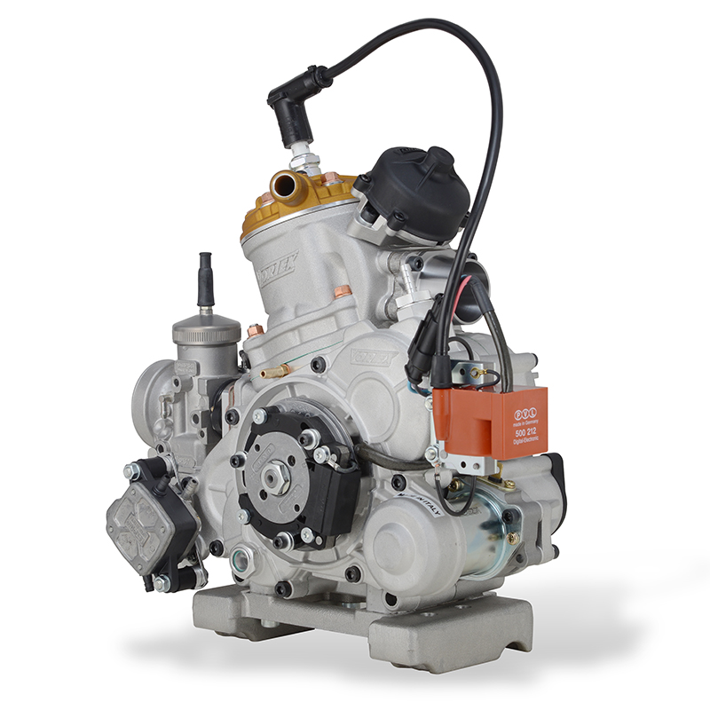 MOTORE ROK GP - immagine 5