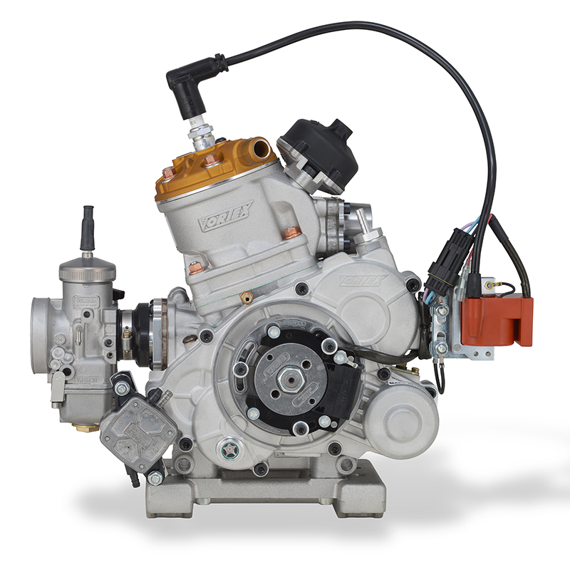 MOTORE ROK GP - immagine 6
