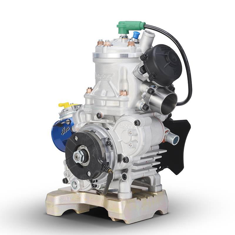 MOTORE ROK DVS - immagine 5