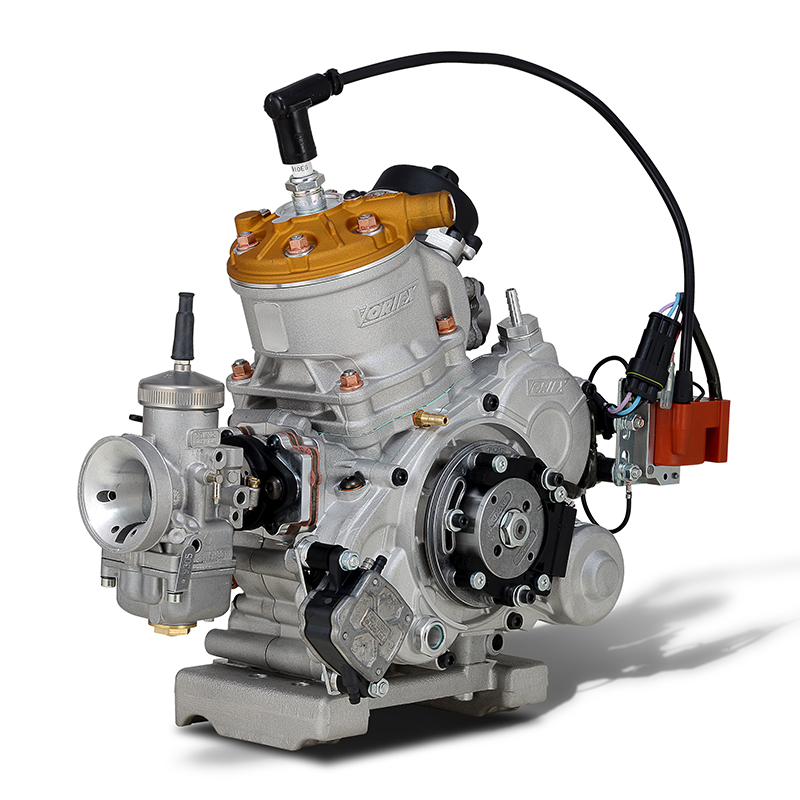 MOTORE ROK GP - immagine 7
