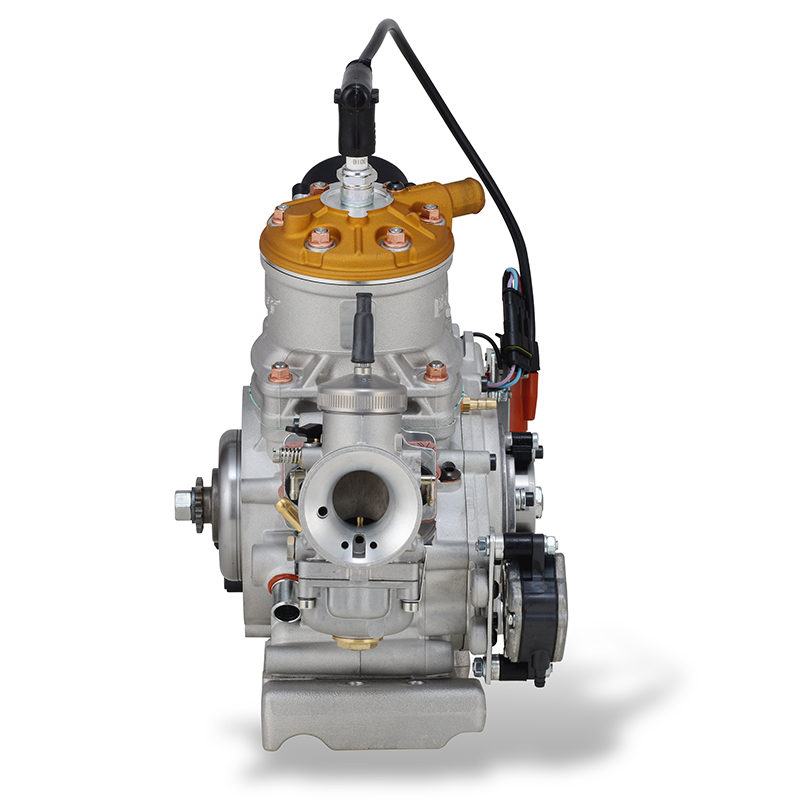 MOTORE ROK GP - immagine 8